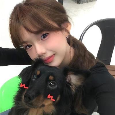 摩登女婿在线观看封面